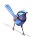 Anne Cullen - Facebook