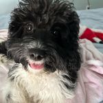 Anne Culley - @anne.culley.5 - Instagram
