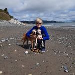Anne Culley - @anne.culley.3 - Instagram