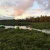 NatureLuvr - @anneculver - TikTok