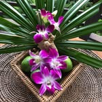 Anne - @anne_cupoftea - Instagram