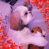 Anne Cuppelditch - @annecuppelditch123 - TikTok