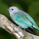 chloe anne cupp gruber - @ccuppgruber - Instagram