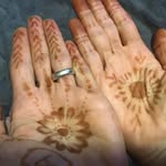 Anne Cushman - @cush2004 - Instagram