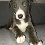 Anne-marie Cutler - @zerosadventures - Instagram