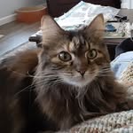 Mary Anne Cutler - @cutlermary - Instagram