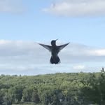 Anne Cutsinger - @annecutsinger - Instagram