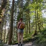 Anne Schenck - @cutter_anne - Instagram