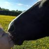 anneutting - @anneutting - TikTok