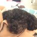 Anne D'Angelo - Facebook