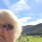 Anne Darby - @darby6776 - Instagram