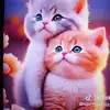 annedarenasloreno - @annedarenasloreno - TikTok