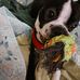 Ann Darnell - Facebook