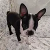 Ann Darnell - @ann.darnell - TikTok