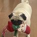Anne Herrington Darnell - Facebook