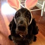 Anne Darnley-Stuart - @annedarnleystuart - Instagram