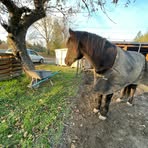Kenzie Anne Darnley - Facebook