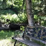 Anne Marie Darrow - @adarrow67 - Instagram