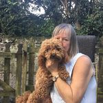 Anne Williams - @anne_dartmoor - Instagram