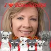 Ann Dauer - @anndauer - TikTok