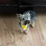 Ann Daughtry Crawford - @anndaughtrycrawford - Instagram