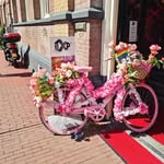 Anne Davin - @annedavin - Instagram