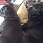 Anne Dawe - @daweanne - Instagram