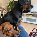 Anne-Marie Dawe - @nanoudawe - Instagram