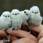 Anne Day - @annetai77 - Instagram