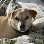 Anne Day Photography - @anneday13 - Instagram