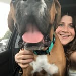 Anne Deacon Franchitto - @anneplus4 - Instagram