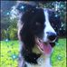 Ann Deakin - Facebook