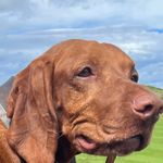Carol Anne Marr Deakin - @cmarr64 - Instagram