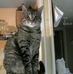 Anne DeBolt - Facebook