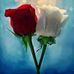 Anne Decosta - Facebook