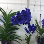 Anne De Coster - @anne.decoster.3 - Instagram
