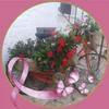 Anny Decoster - @anny.decoster - TikTok