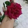 AnneDeeSZ - @annedeedee - TikTok