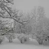 Anne Deisinger - @anne.deisinger - TikTok