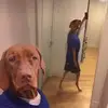 anne - @dekkeranne - TikTok