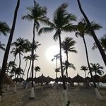 Anne-Jan Dekker - @ajdekker67 - Instagram