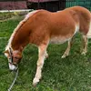 annedekker57 - @annedekker57 - TikTok