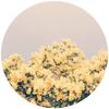 Annie deluca - @sunny.days.x.aesthetics - TikTok