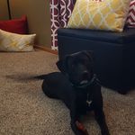 Anne DeMarais - @anne_demarais - Instagram