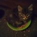 Ann Demott - Facebook