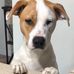 Anne Deneher - Facebook