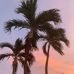 Anne Dennison - @dennison1057 - Instagram