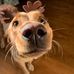 Anne Dennison - Facebook