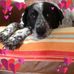 Anne Denny - Facebook