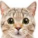 Anne Deprez - Facebook